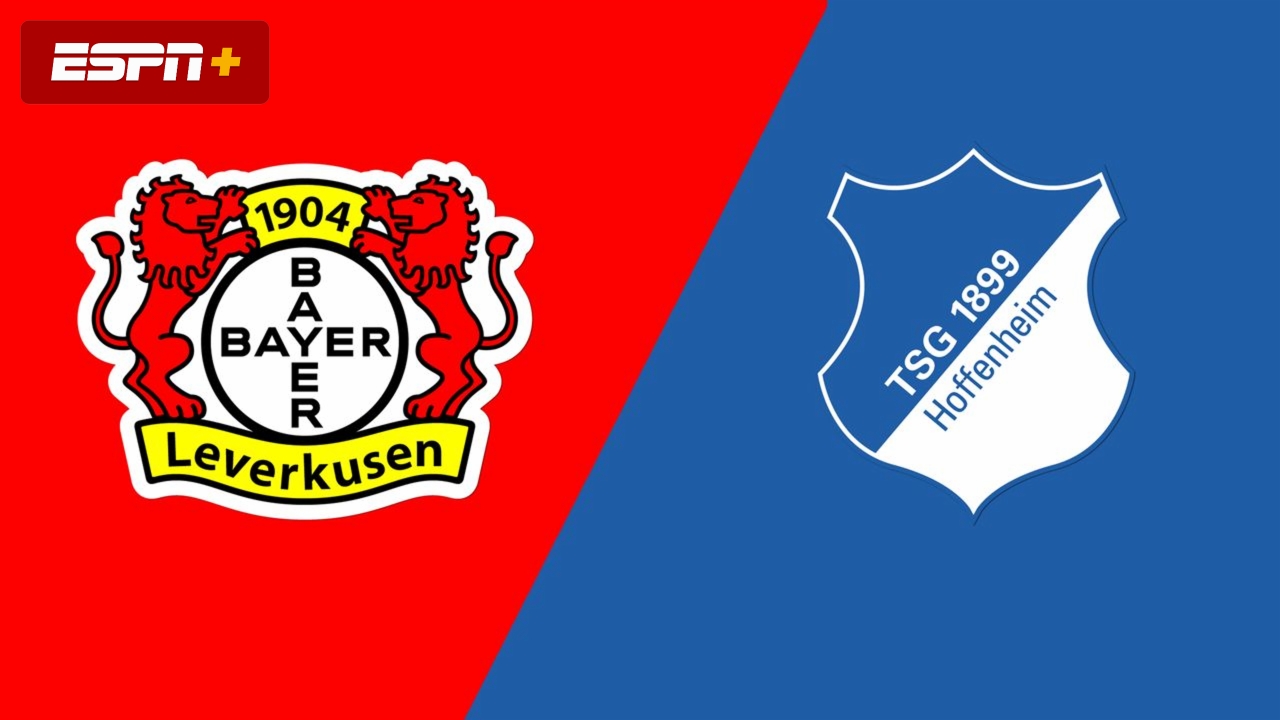Leverkusen vs Hoffenheim (30 March 15:30)